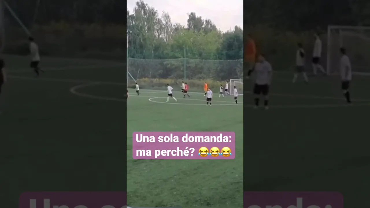 VIDEO | Guardate questo video! Tutto meravigliosamente senza senso 😂😂😂