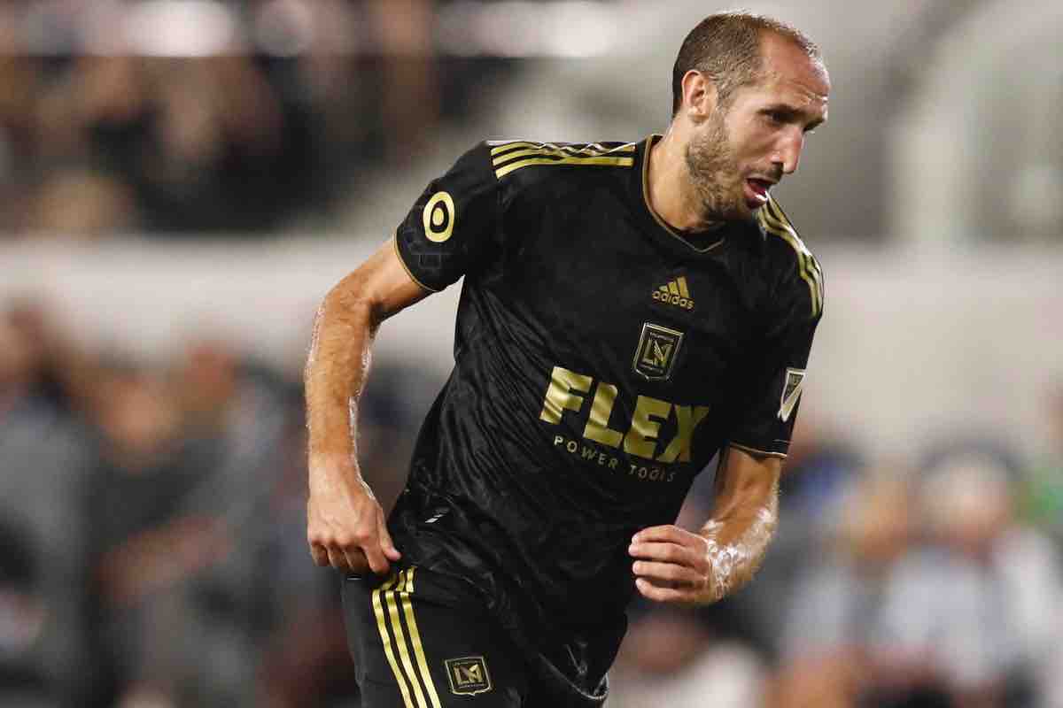 Giorgio Chiellini in campo